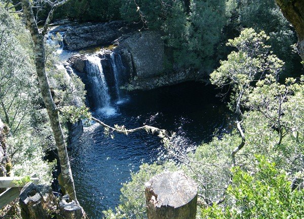 image pencil-pine-falls-2009-cradle-mountain-nat-park-tas-jpg
