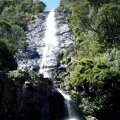 image montezuma-falls-2007-height-104m-near-rosebery-tas-jpg