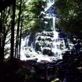 image nelson-falls-2007-franklin-gordon-wild-rivers-national-park-tas-jpg