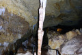21-Column-formation