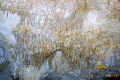41-Stalactites