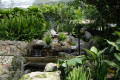 06-Kuala-Lumpur-Bird-Park-KLBP