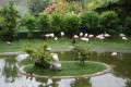 10-Kuala-Lumpur-Bird-Park-KLBP