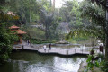 11-Kuala-Lumpur-Bird-Park-KLBP