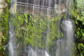 12-Kuala-Lumpur-Bird-Park-KLBP