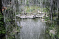 13-Kuala-Lumpur-Bird-Park-KLBP