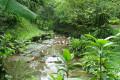 15-Kuala-Lumpur-Bird-Park-KLBP
