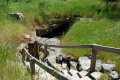 03-Cave-entrance-through-large-roof-collapse-window