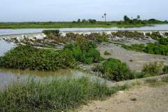 CAMBODIA - Kampot - Sep 2010