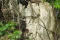 077-Cavortiing-monkeys-near-cave