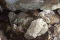 089-Tortoise-rock