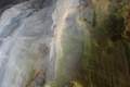 090-Crocodile-tail-rock