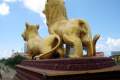 076-Golden-Lions-Monument-roundabout-Vimean-Tao-Meas-back-view-Sihanoukvile