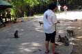 082-Feeding-monkeys-near-Boeng-Prek-Tup-Lake-Independence-Beach-Sihanoukville