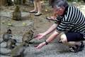083D-Feeding-monkeys-near-Independence-Beach-Sihanoukvile