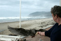 048-Cannon-Beach-feeding-seagull-1