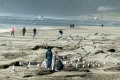 065-Seagulls-at-Cannon-Beach-2