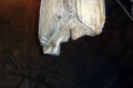 19-Broken-column