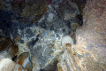 20-Part-of-cave-ceiling