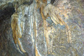 21-Jellyfish-formation-