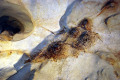 32-Bell-holes-in-the-ceiling-with-dark-brown-bat-guano-poo