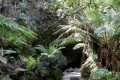 02-Cave-entrance