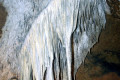 11-shawl-formation