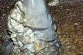 40-stalagmite