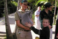 008-petting-a-koala