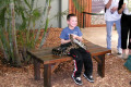022-snake-handling