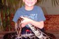 023-Burmese-python