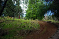 02A-Path-to-Fairy-Cave