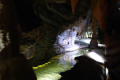 14A-Fairy-Cave-Reflection-Pool