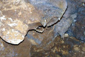 53-Fairy-Cave-Helictite-formation-Scorpion-tail