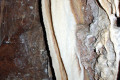 58-Fairy-Cave
