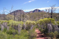 018-Arkaroo-Rock-view-from-carpark