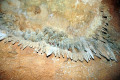 28-Stalactite-on-ceiling
