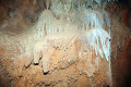 29-Cave-Coral