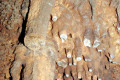 32-Stalactites-with-tips-broken-off