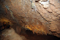 40-Cave-Coral