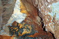 45-Speleothems-on-cave-ceiling