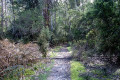 03-Junee-River-Cave-walking-track