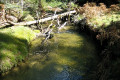04-Junee-River