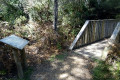 06-Junee-River-Cave-walking-track