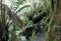 08-Junee-River-Cave-nearly-there