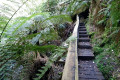 09-Junee-River-Cave-boardwalk