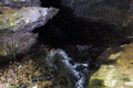 14-Junee-River-emerging-from-Junee-Cave