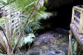 18-Junee-River-emerging-from-Junee-Cave