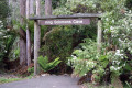 01-King-Solomons-Cave-Entry