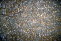 11-KSC-Flowstone-surface